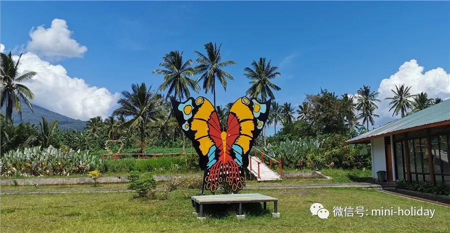 亲历|火山海龟岛屿，盼来武汉直航！“5小时飞行+落地签”身临奇境「398」
