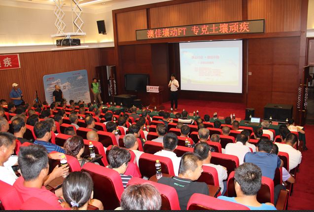 瑗挎磱鍙傝瑾変负淇濆仴涔嬬帇,瑗挎磱鍙備笓鐢ㄨ偉