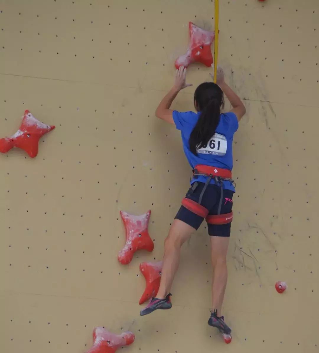 我不允许你还不知道接下来的三天紫云格凸会非常热闹