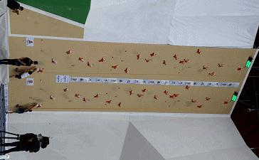 我不允许你还不知道接下来的三天紫云格凸会非常热闹