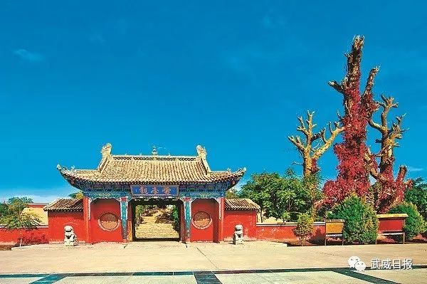 国宝马踏飞燕铜奔马,国宝文物马踏飞燕介绍