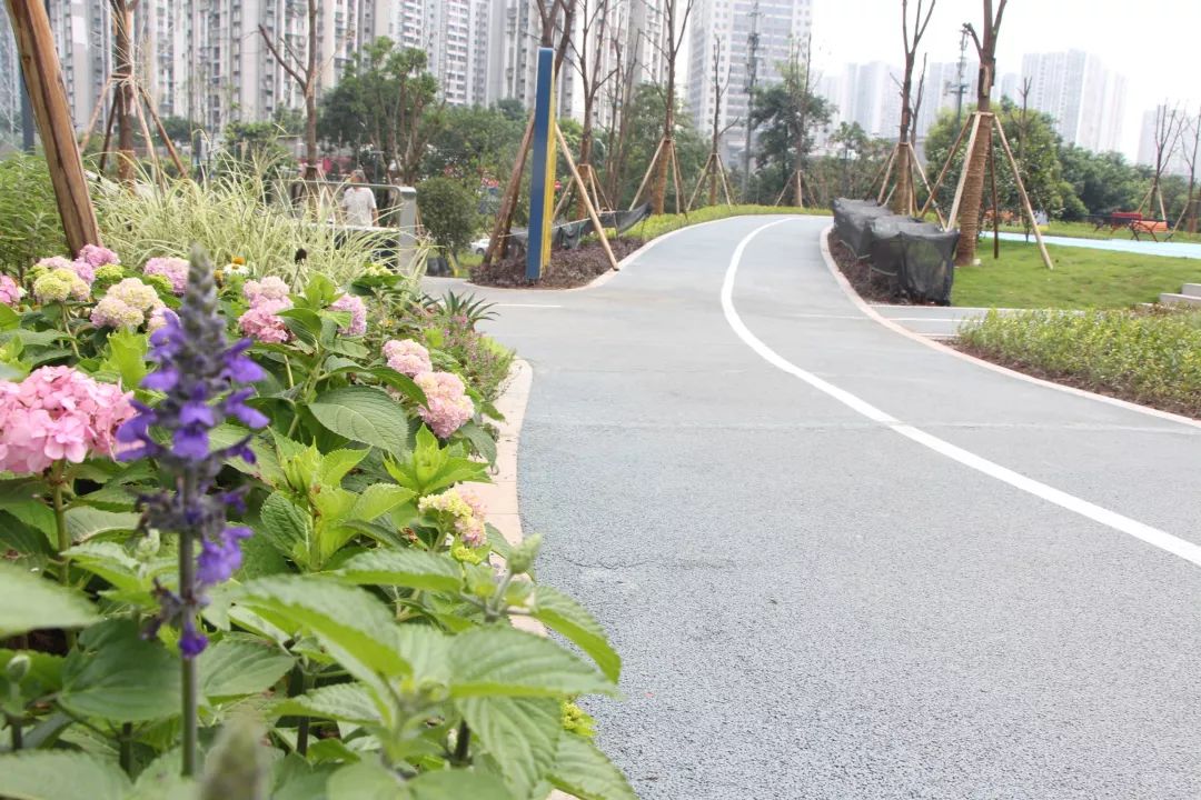 荒地变绿地视频,又一个休闲健身的好去处