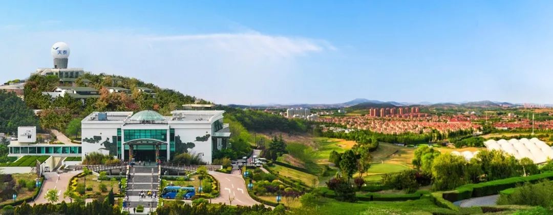 青岛乐迷狂欢party|铂德X迷笛，大胆做一次自己