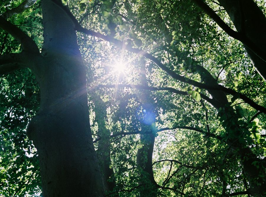 hygge中文寓意,hygge怎么读丹麦语