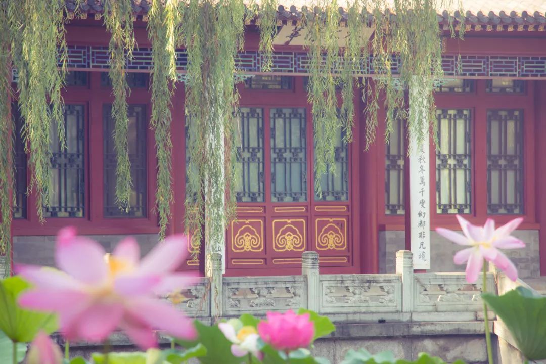 清华大学领军工程博士好申请吗,清华大学领军工程博士招生简章