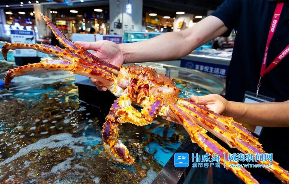 佟大为郭德纲孟非综艺,孟非郭德纲佟大为威海