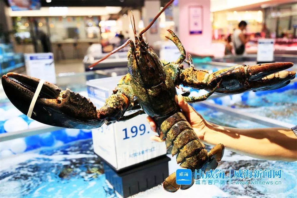 佟大为郭德纲孟非综艺,孟非郭德纲佟大为威海