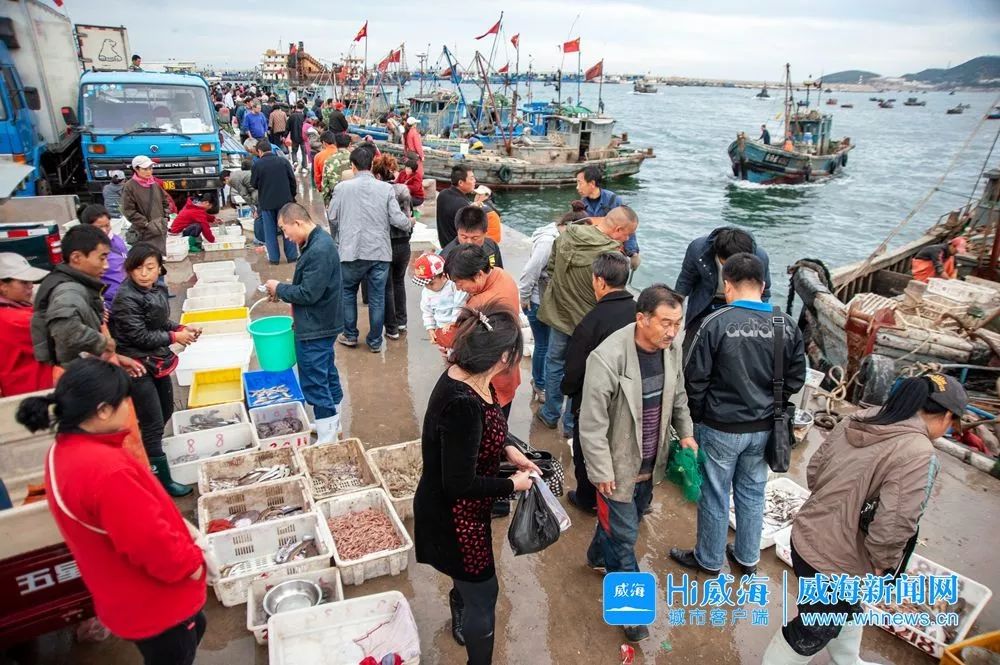 佟大为郭德纲孟非综艺,孟非郭德纲佟大为威海
