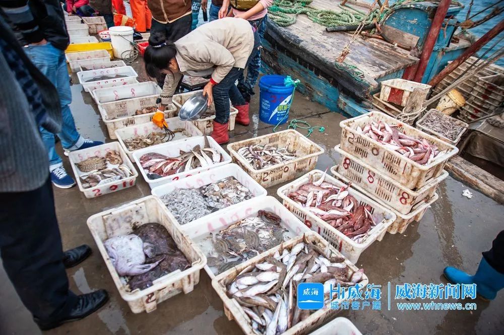 佟大为郭德纲孟非综艺,孟非郭德纲佟大为威海