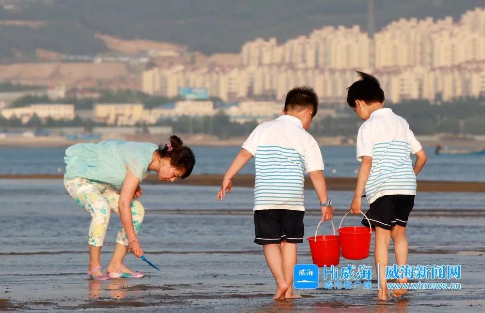 佟大为郭德纲孟非综艺,孟非郭德纲佟大为威海