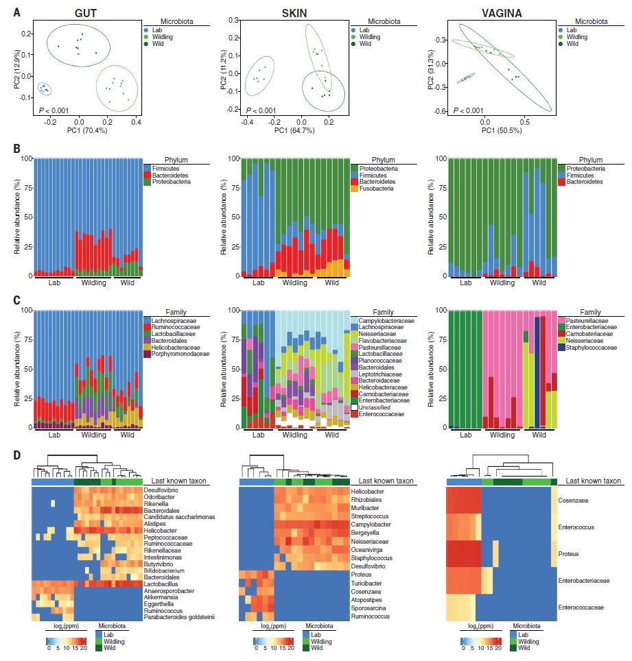 厉害了！这款神小鼠，能提前告诉你临床试验成功还是失败……|Science