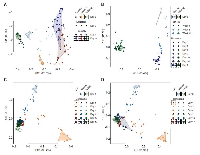 厉害了！这款神小鼠，能提前告诉你临床试验成功还是失败……|Science