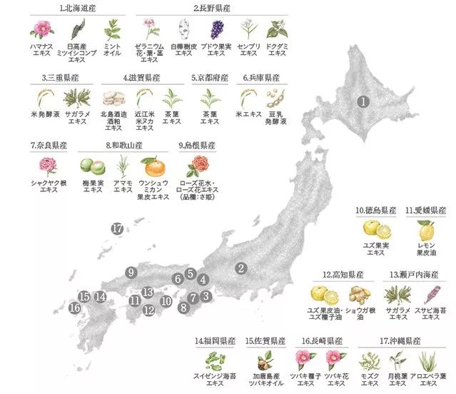 一上市就疯狂拿奖的日本洗发水，头油、掉头发、扁塌有救了！｜吃货爱生活