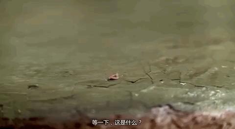 在博物馆工作是干什么,博物馆工作一般工资多少