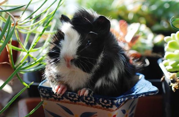 利润很吓人的100个冷门创业项目,一天1000元利润的创业项目