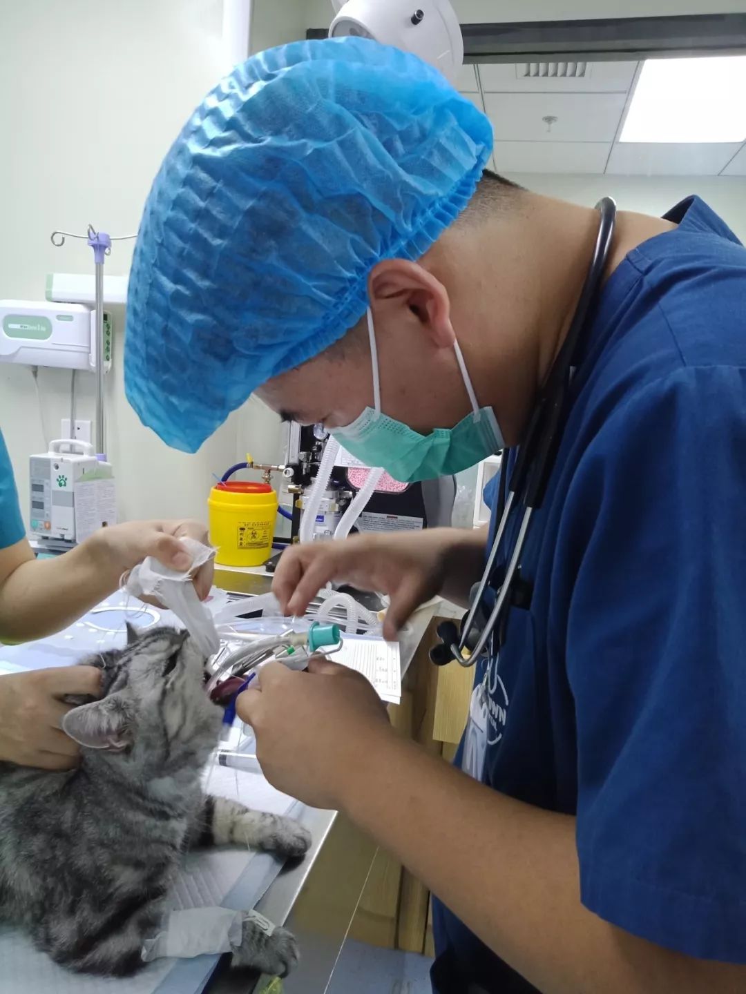 鍖椾含鍔ㄧ墿鍖荤敓,鍖椾含鍔ㄧ墿鍖诲涓撲笟