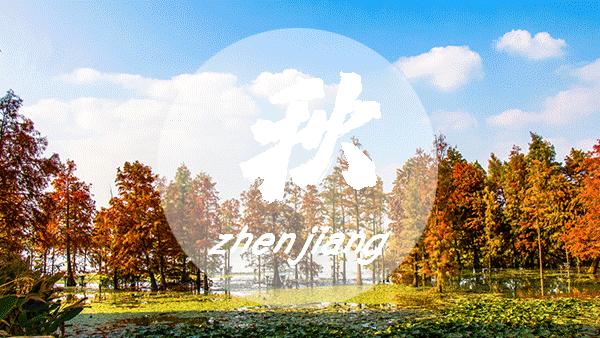 家长们都留点心！4岁男孩海洋球池里摔一跤，痛失脾脏