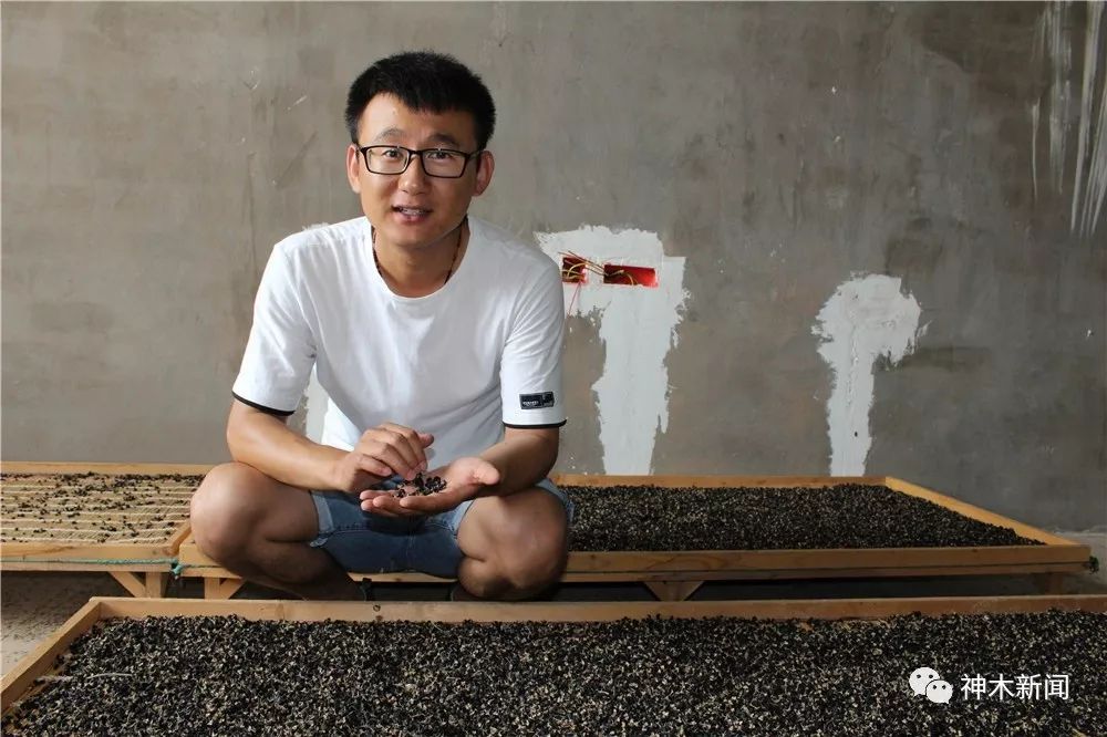 90后小伙带领乡亲们致富视频,90后大学生返乡种咖啡带全村致富