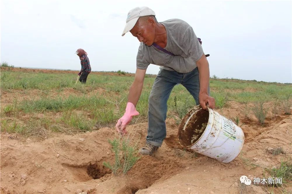 90后小伙带领乡亲们致富视频,90后大学生返乡种咖啡带全村致富