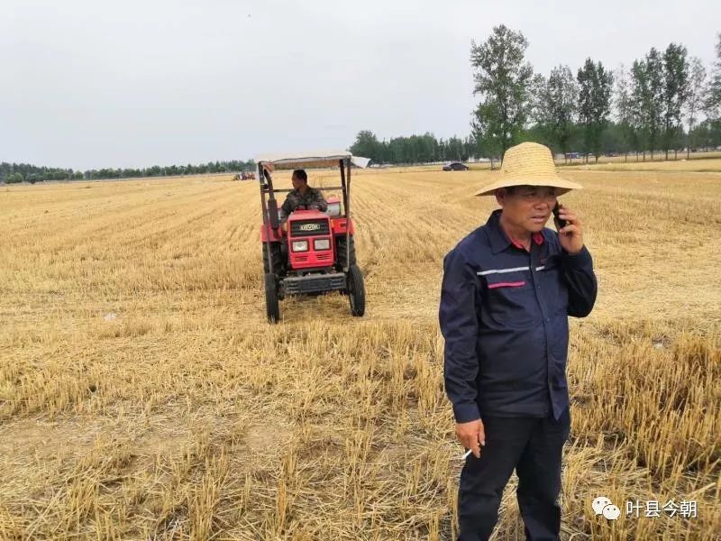 叶县脱贫与乡村振兴有效衔接,乡村振兴可以去做点什么