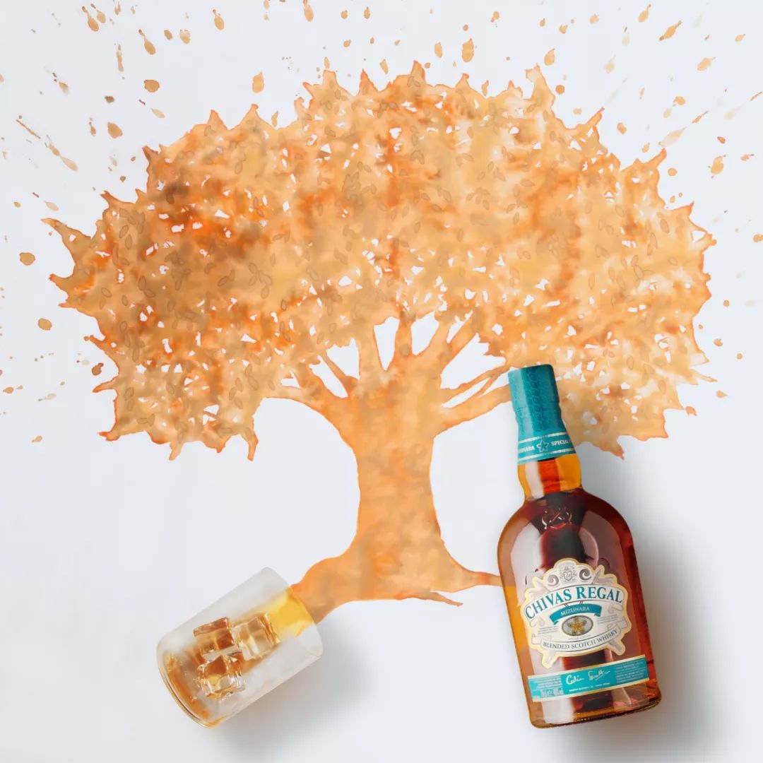 调酒比赛都想赢，你知道该如何准备吗？