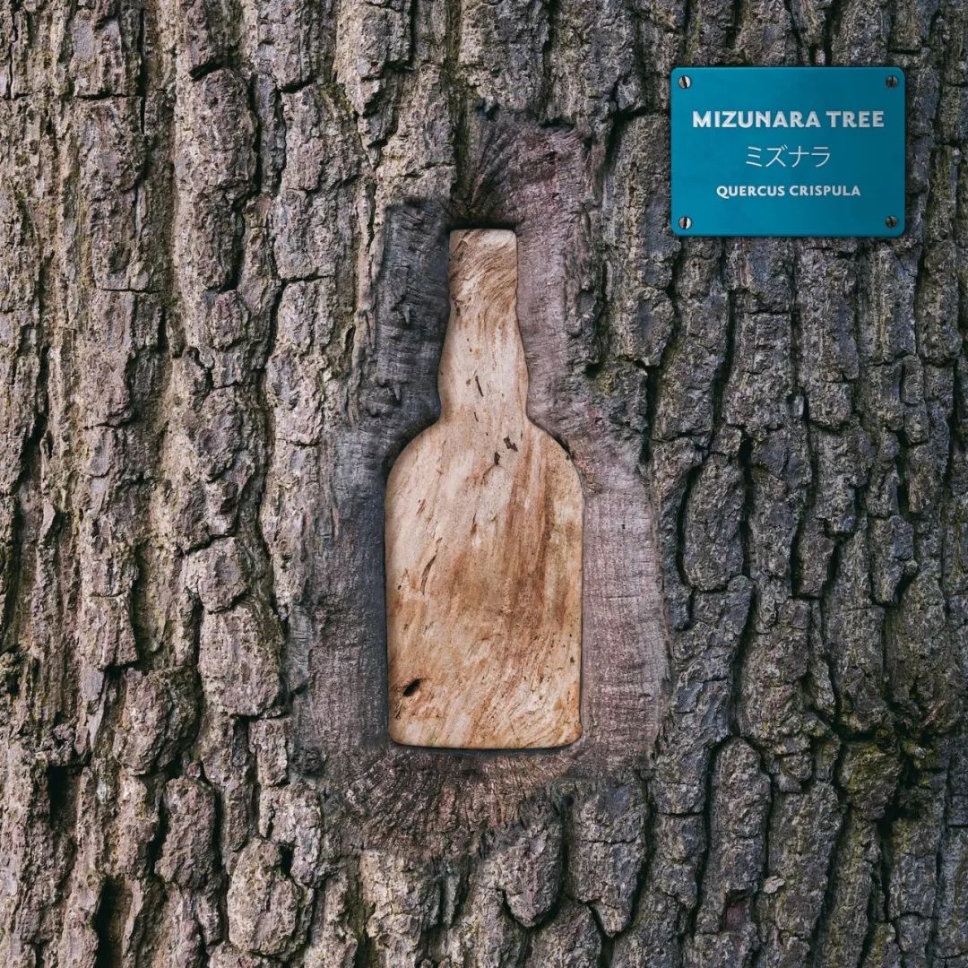 调酒比赛都想赢，你知道该如何准备吗？