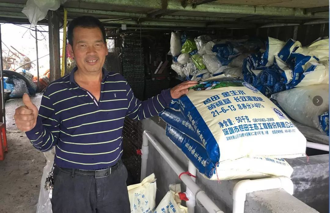 聚焦|种植状元吴图就:芭田肥品质好,一用就是20多年