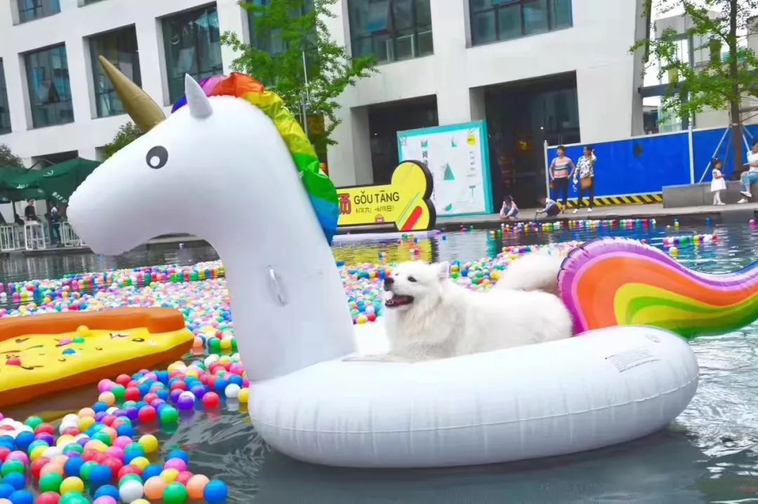 这份详细攻略请收好,这份一日游攻略请收好