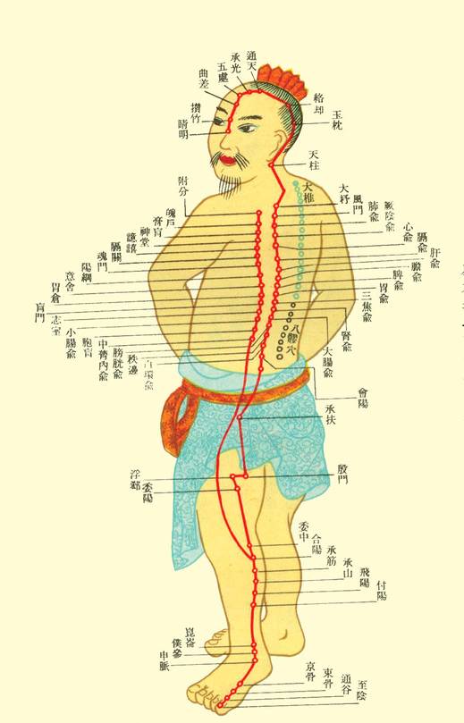 立秋怎么祛湿毒,养生大讲堂中医健脾祛湿