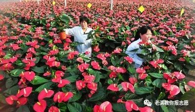 农林经济管理学属于冷门专业吗,农林经济管理专业专业知识汇总