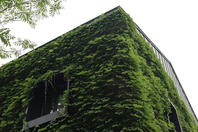 长白山风景区自驾最佳路线图,自驾游长白山路好走吗