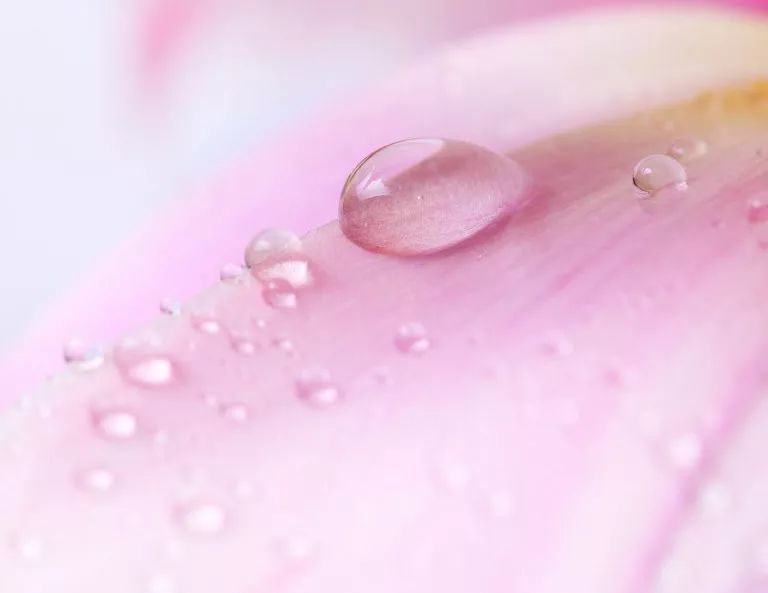 容颜定格14岁的她，活成了世上最美女人！法国人用了半世纪的“花水”，好用到疯抢