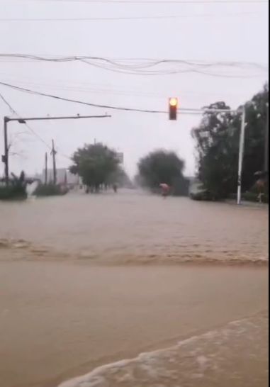 最新!利奇马或在海阳登陆!烟台暴风雨来了,山东全面进入应急状态:停业、停课!
