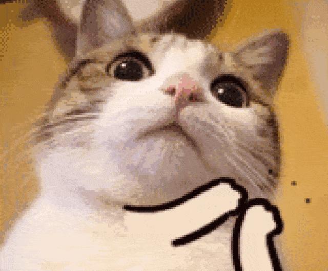 买真的洗面奶退假的洗面奶,买洗面奶会有假的吗