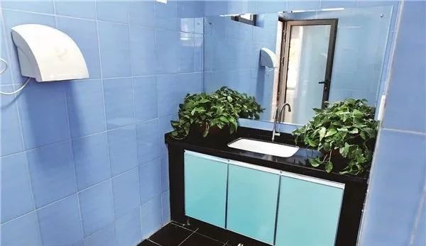 洛阳近期有哪些重要新闻,洛阳有什么好消息