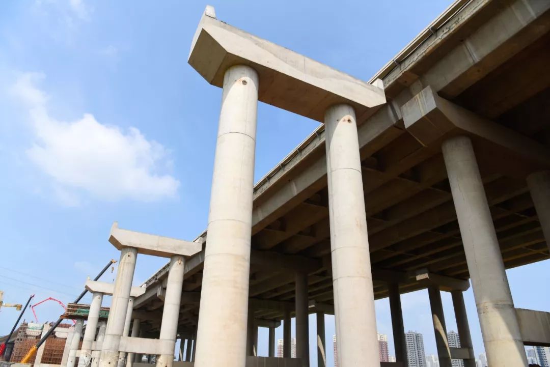 洛阳近期有哪些重要新闻,洛阳有什么好消息