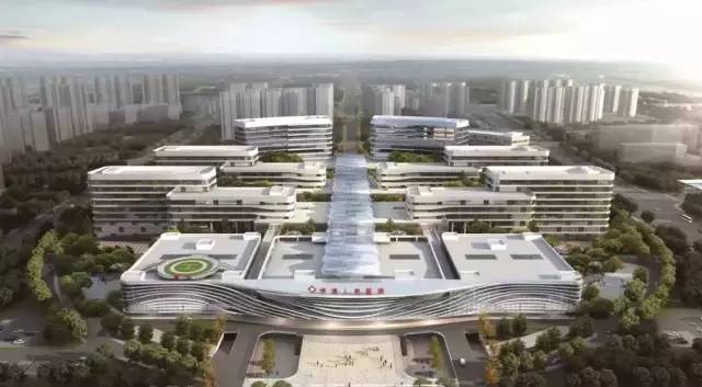 洛阳近期有哪些重要新闻,洛阳有什么好消息