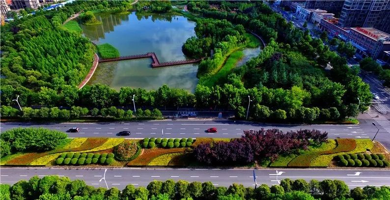 洛阳近期有哪些重要新闻,洛阳有什么好消息