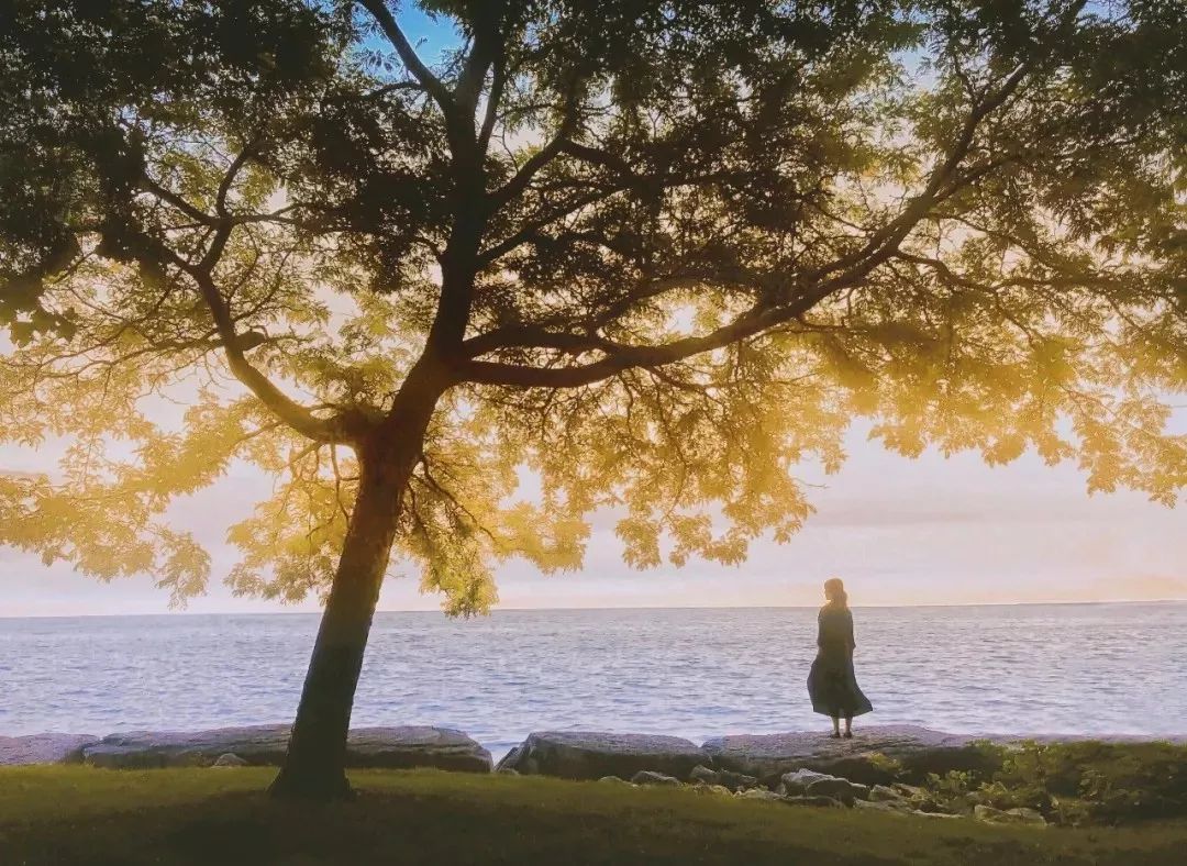 李宗盛经典歌曲最后一次,李宗盛20首经典歌