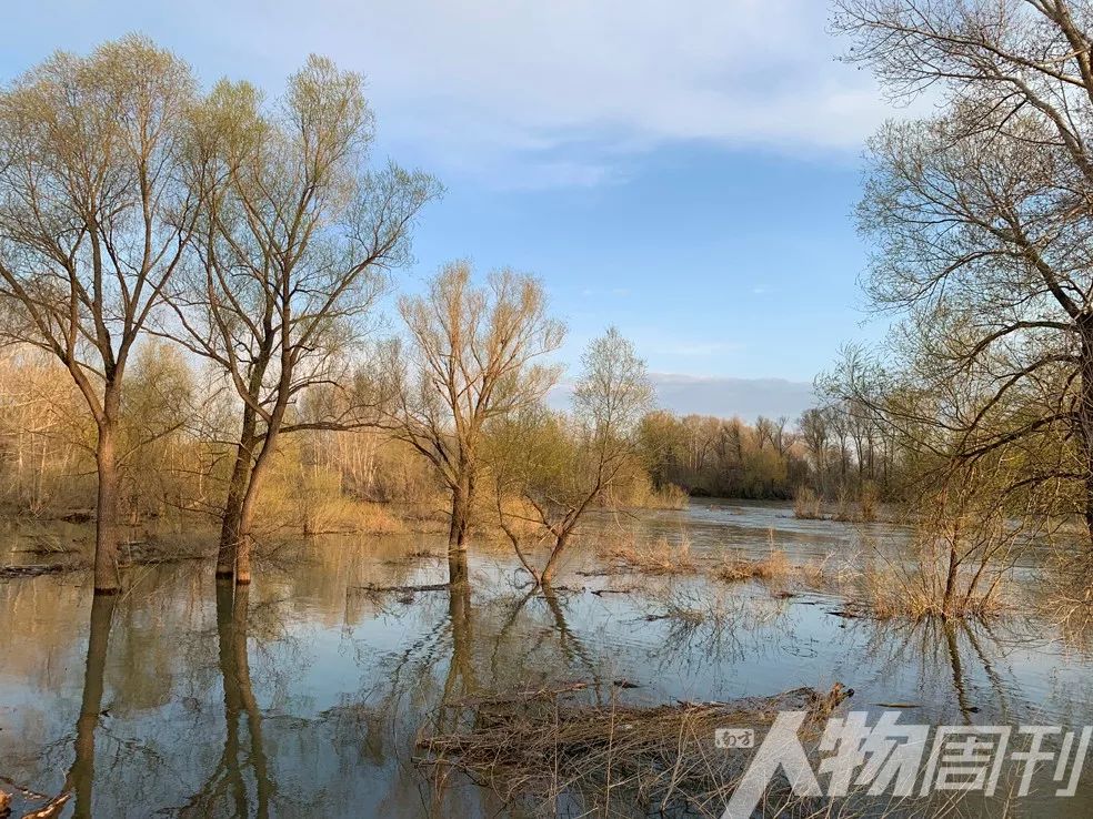 草原核爆炸自己会掉血吗,草原和核爆