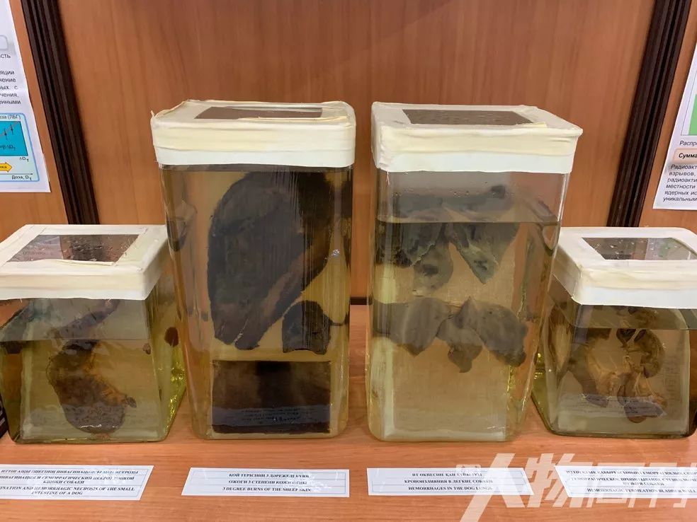 草原核爆炸自己会掉血吗,草原和核爆