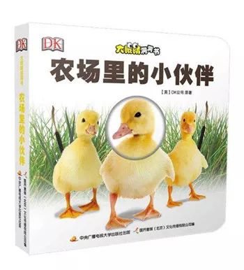 早期阅读是孩子独立阅读的基础,怎么鼓励孩子阅读非虚构书