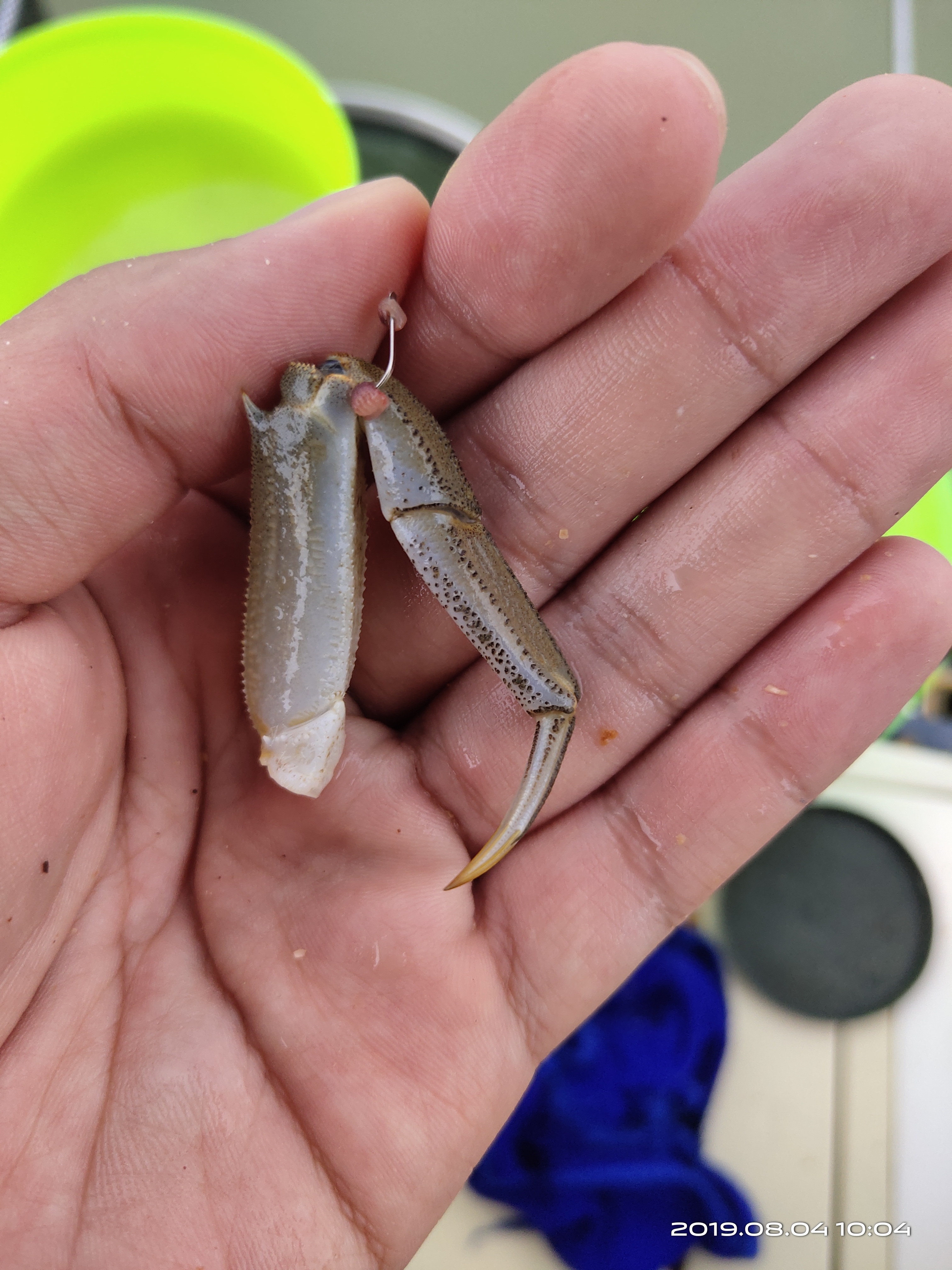 钓螃蟹专用神器钢丝球,钓螃蟹专用神器25元的