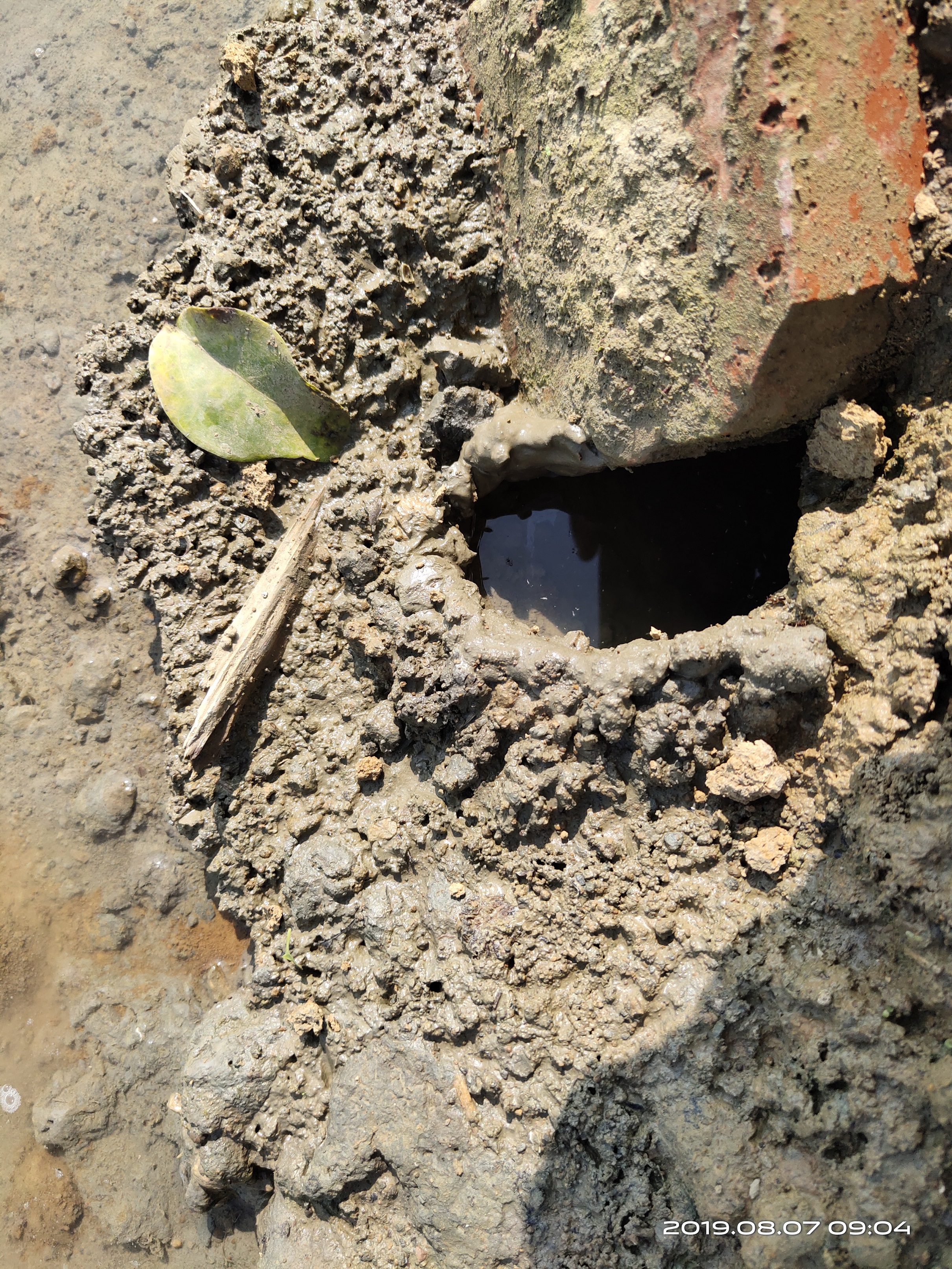 钓螃蟹专用神器钢丝球,钓螃蟹专用神器25元的