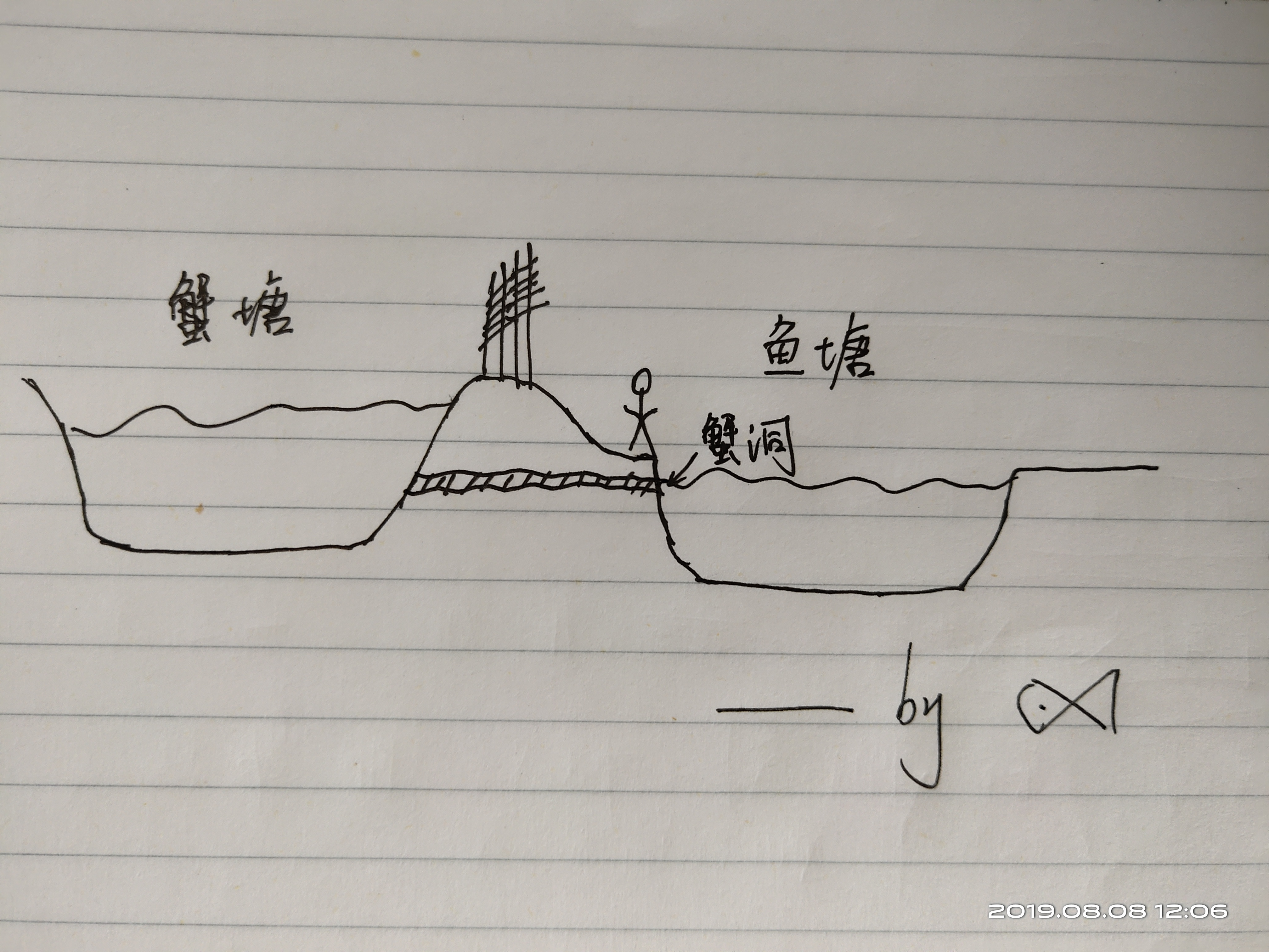 钓螃蟹专用神器钢丝球,钓螃蟹专用神器25元的