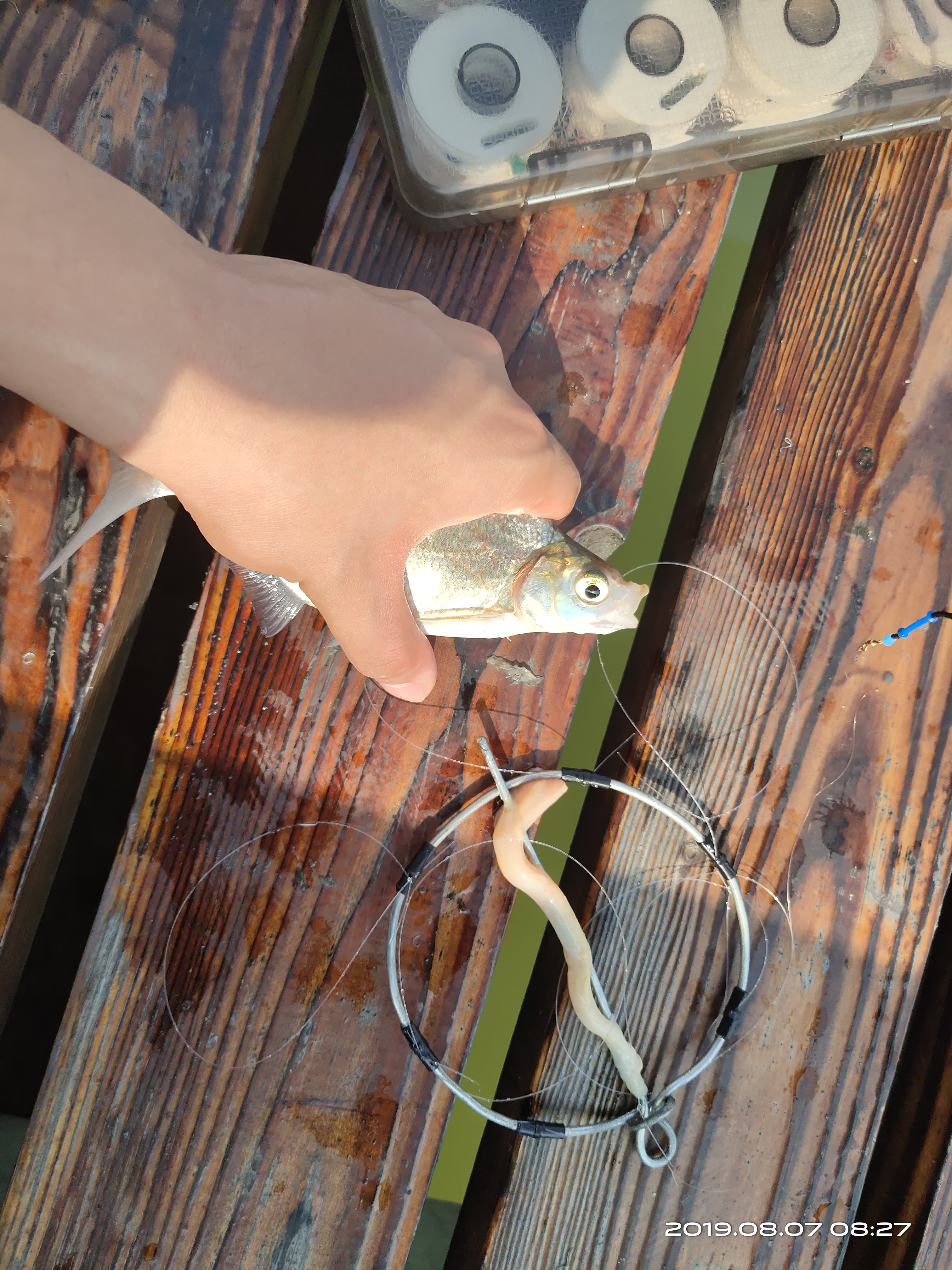 钓螃蟹专用神器钢丝球,钓螃蟹专用神器25元的