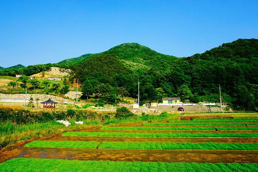 46个人的咖啡馆和2个人的幼儿园