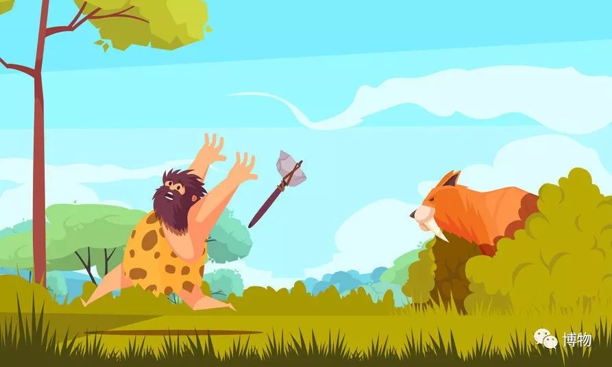 想研究野生动物?看看学这个专业的人都在干嘛吧