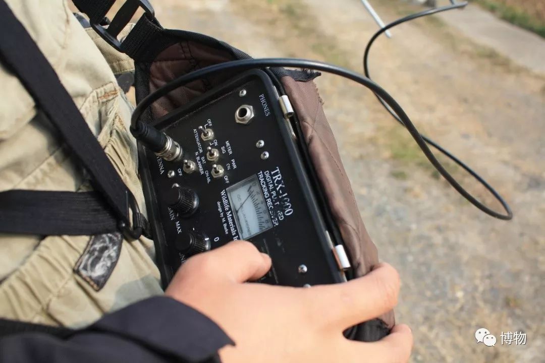 想研究野生动物?看看学这个专业的人都在干嘛吧