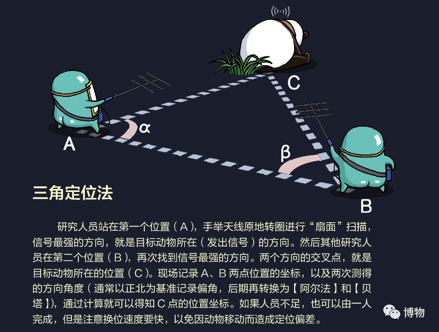 想研究野生动物?看看学这个专业的人都在干嘛吧